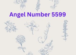 Angel number 5599